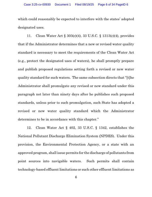 Page 08