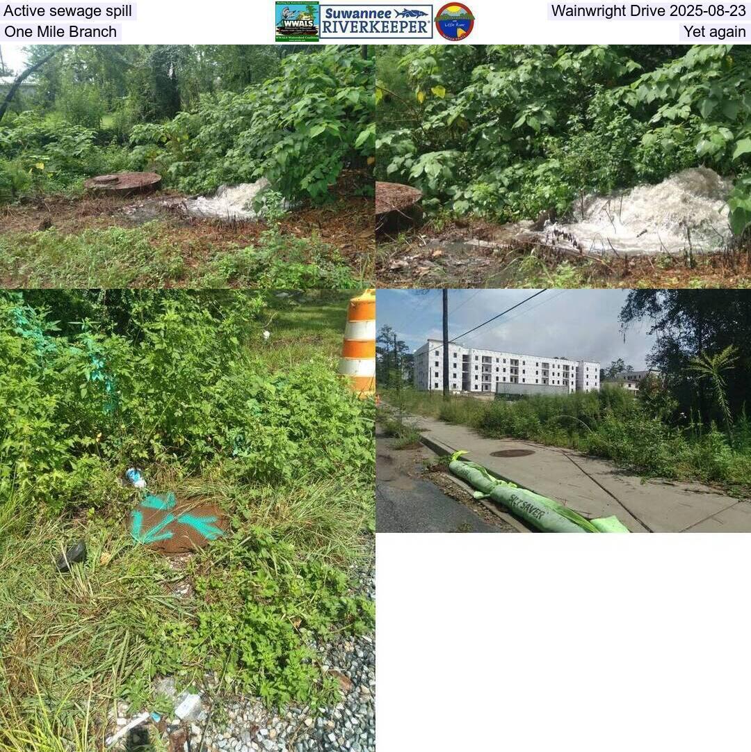 Active sewage spill, Wainwright Drive 2025-08-23, One Mile Branch, Yet again