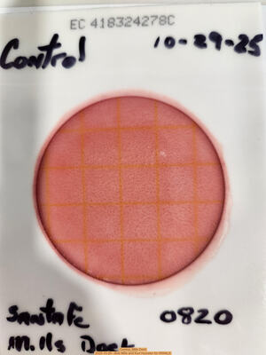 [Control, Mills Dock 2025-10-29 --Bob Mills and Kurt Hurzeler for WWALS]