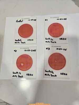 [Plates, Mills Dock 2025-10-29 --Bob Mills and Kurt Hurzeler for WWALS]