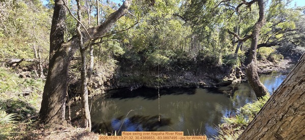 Rope swing over Alapaha River Rise, 2025:11:01 13:21:32, 30.4389853, -83.0897495 --jsq for WWALS