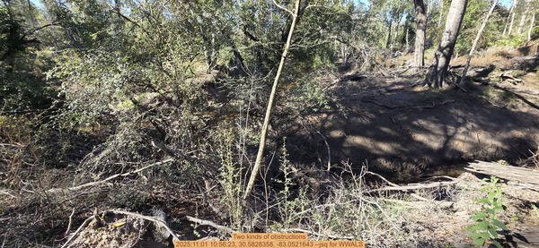 Two kinds of obstructions, 2025:11:01 10:56:23, 30.5828358, -83.0521643 --jsq for WWALS