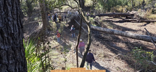 Above and below, 2025:11:01 11:06:21, 30.5831509, -83.0524904 --jsq for WWALS