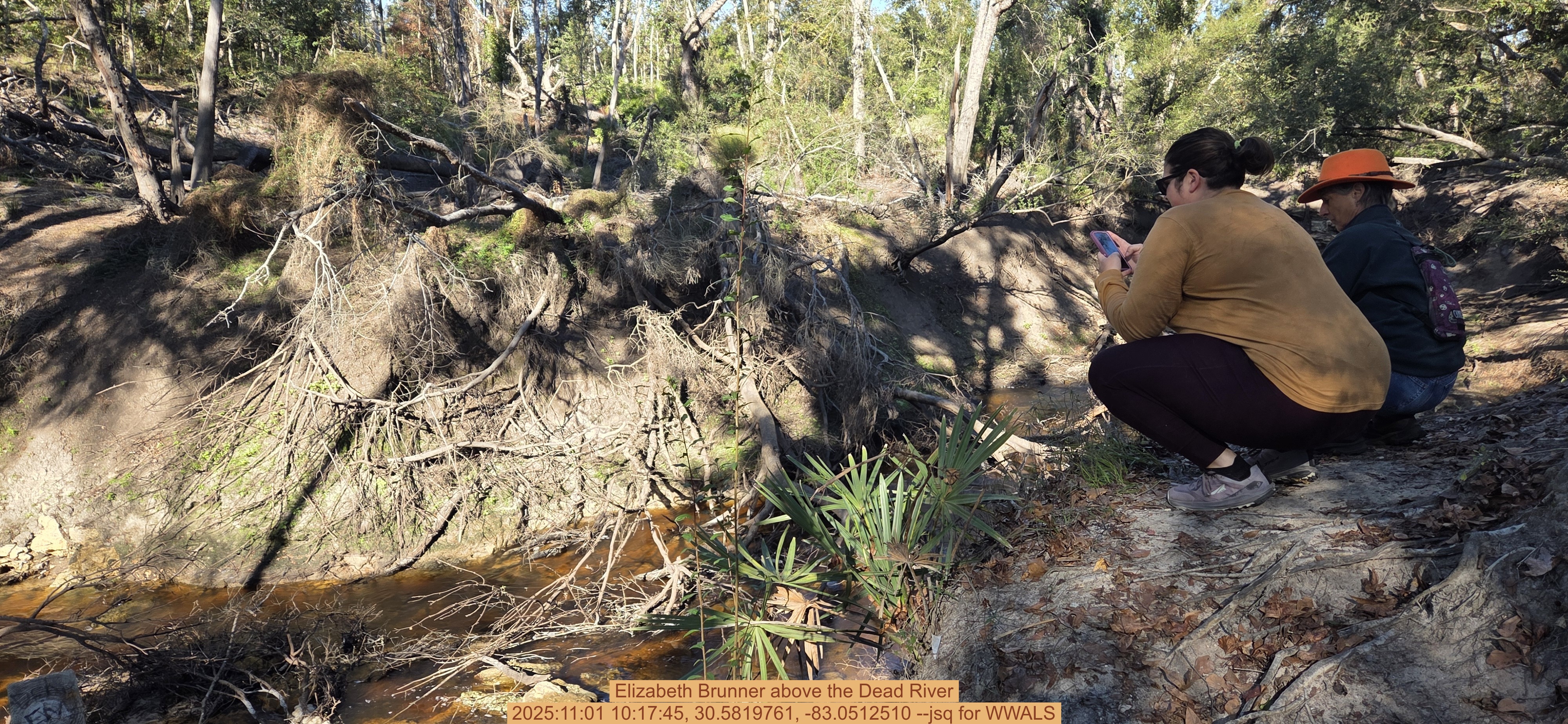Elizabeth Brunner above the Dead River, 2025:11:01 10:17:45, 30.5819761, -83.0512510 --jsq for WWALS