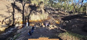 [Up the Dead River, 2025:11:01 10:26:31, 30.5816809, -83.0517041 --jsq for WWALS]