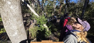 [Still some high trees, 2025:11:01 10:32:24, 30.5819412, -83.0514568 --jsq for WWALS]