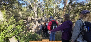 [Line of hikers, 2025:11:01 10:32:56, 30.5820769, -83.0513808 --jsq for WWALS]