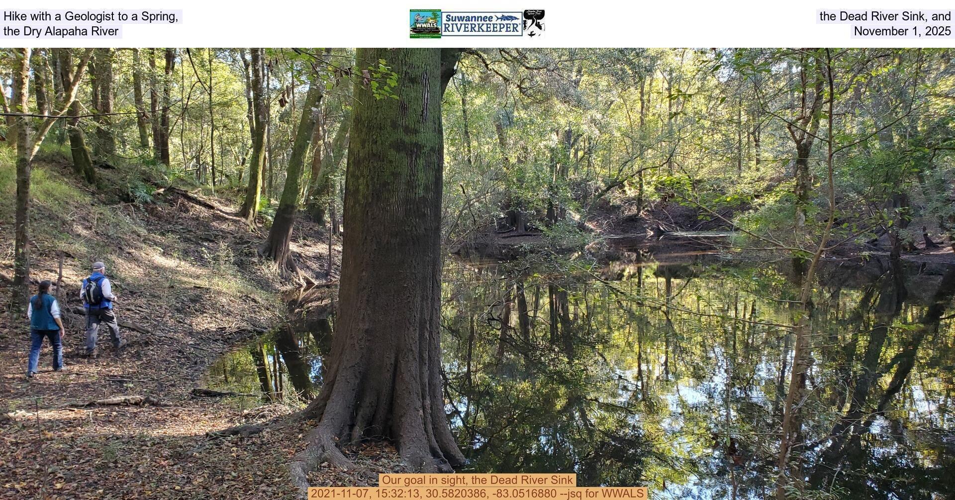 [Hike with a Geologist to a Spring, the Dead River Sink, and the Dry Alapaha River, November 1, 2025]