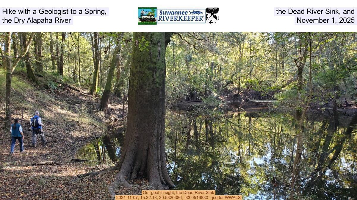 Hike with a Geologist to a Spring, the Dead River Sink, and the Dry Alapaha River, November 1, 2025