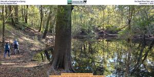 [Hike with a Geologist to a Spring, the Dead River Sink, and the Dry Alapaha River, November 1, 2025]