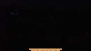 [Movie: Eastern reds and Seminoles probably just flying in the area, 2025-11-05, says Elizabeth Brunner --jsq for WWALS (72M)]