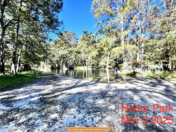 [Hodor Park, Ichetucknee River @ SW Riverside Ave. 2025-11-03 --Chrstiaan Ard for WWALS]