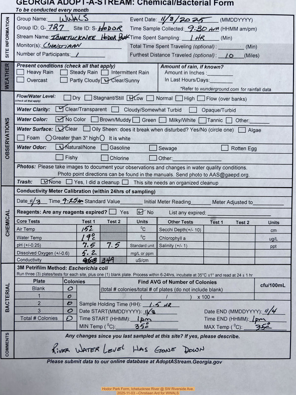 Hodor Park Form, Ichetucknee River @ SW Riverside Ave. 2025-11-03 --Chrstiaan Ard for WWALS