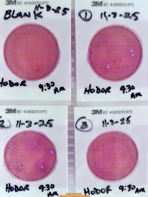[Plates, Hodor Park 2025-11-03 --Chrstiaan Ard for WWALS]