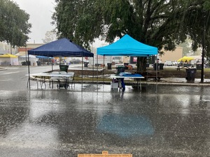 [Wet, 2025-11-08 --Gretchen Quarterman for WWALS]