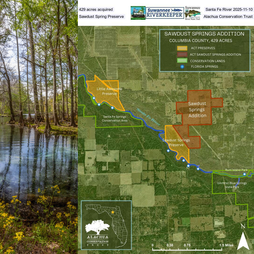 429 acres acquired, Santa Fe River 2025-11-10, Sawdust Spring Preserve, Alachua Conservation Trust