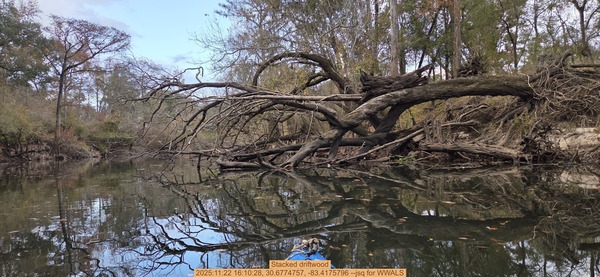 [Stacked driftwood, 2025:11:22 16:10:28, 30.6774757, -83.4175796 --jsq for WWALS]