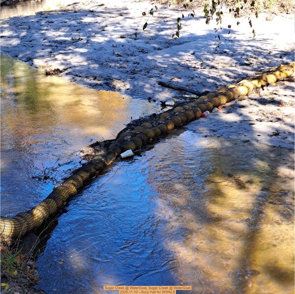 [Sugar Creek @ WaterGoat, Sugar Creek @ WaterGoat 2025-11-10 --Suzy Hall for WWALS]