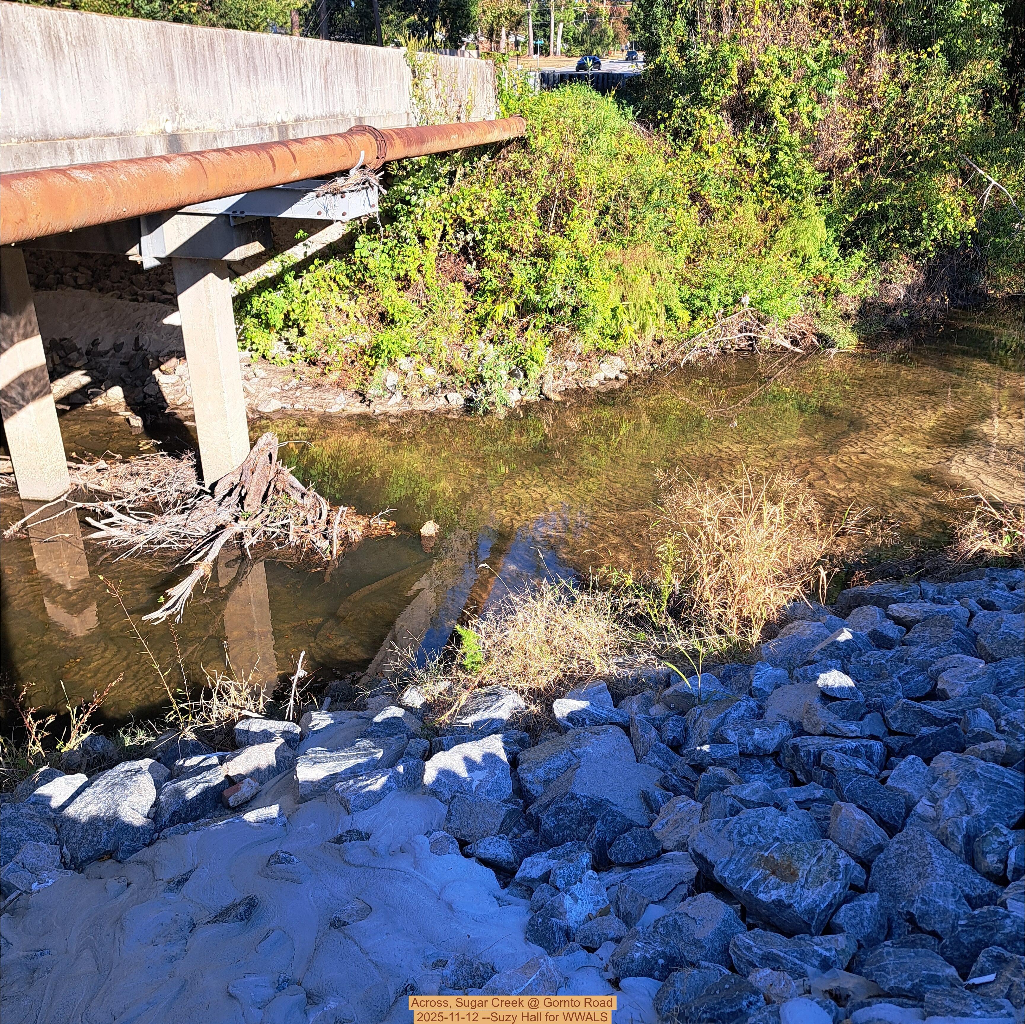 Across, Sugar Creek @ Gornto Road 2025-11-12 --Suzy Hall for WWALS