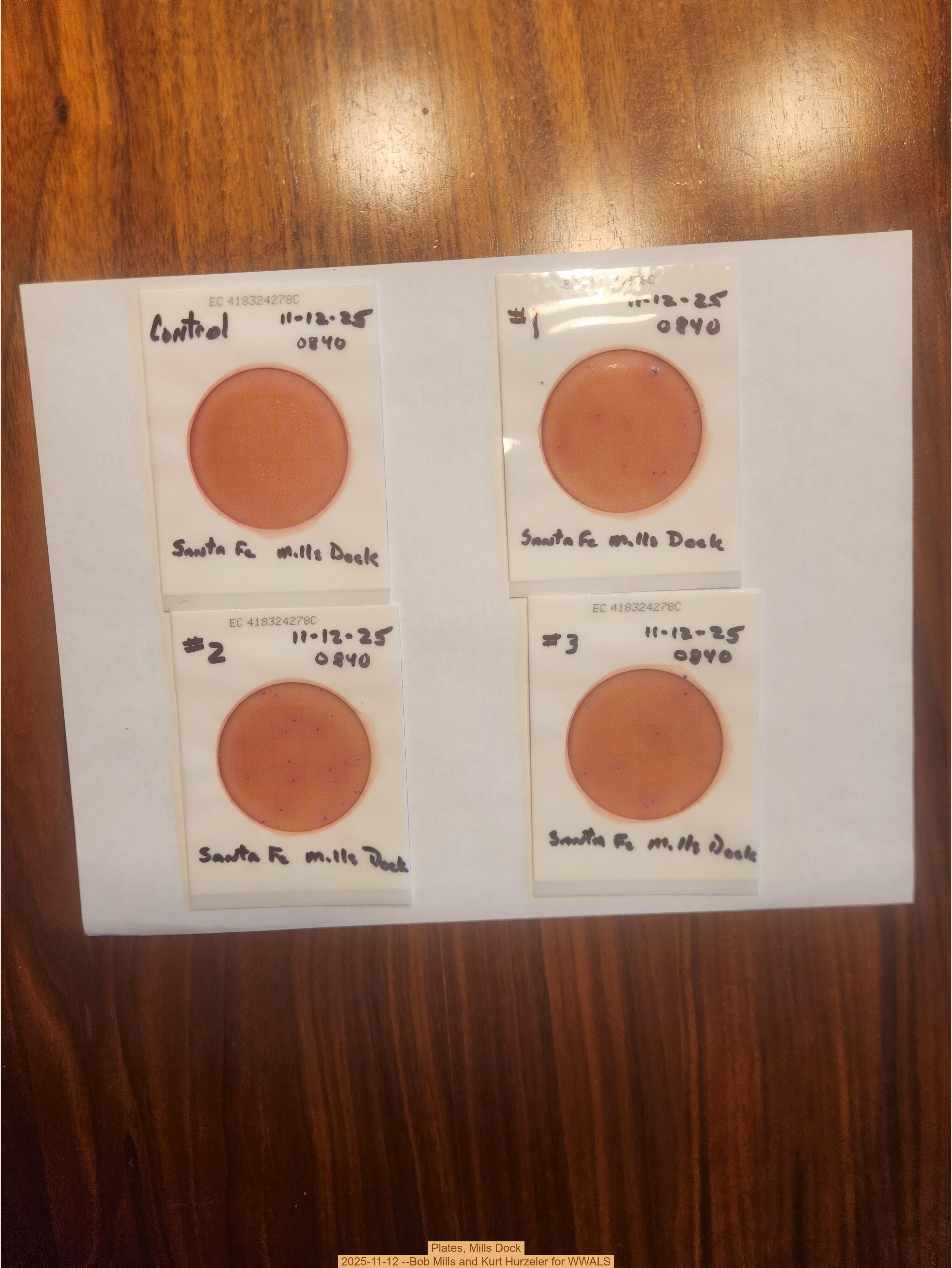 Plates, Mills Dock 2025-11-12 --Bob Mills and Kurt Hurzeler for WWALS