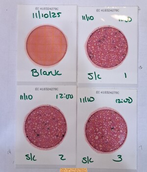 [Plates, Sugar Creek @ WaterGoat 2025-11-10 --Suzy Hall for WWALS]