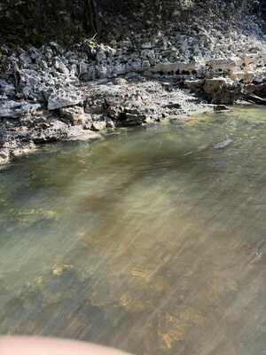 [Finding new springs at low water, 2025-11-15 --Byron Herder]