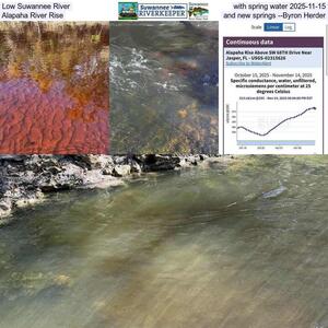 [Low Suwannee River with spring water 2025-11-15, Alapaha River Rise and new springs --Byron Herder]