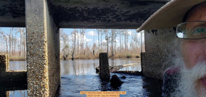 [Open Second Gate, Suwannee River Sill, 2023-12-09 --jsq for WWALS]