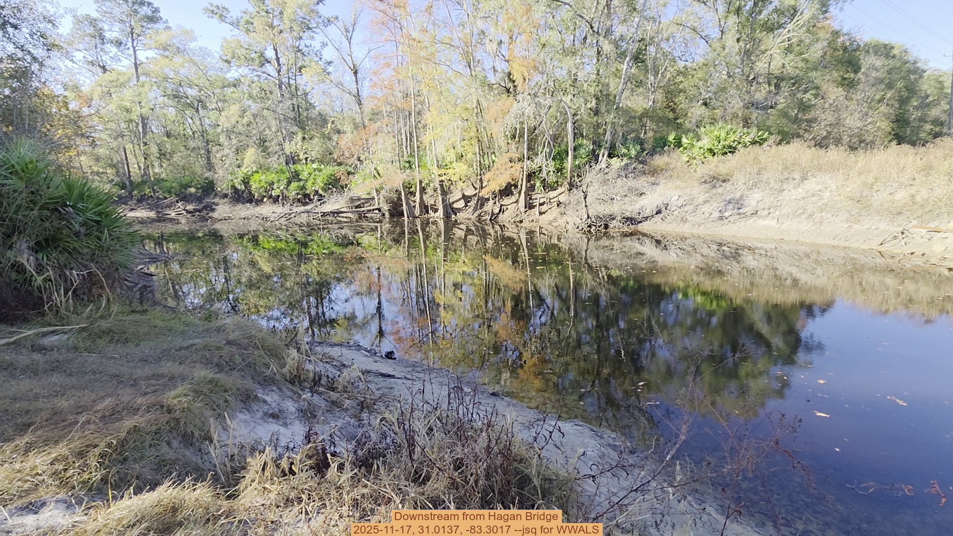 Downstream from Hagan Bridge, 2025-11-17, 31.0137, -83.3017 --jsq for WWALS
