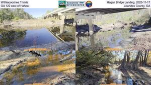 [Withlacoochee Trickle, Hagan Bridge Landing, 2025-11-17, GA 122 east of Hahira, Lowndes County, GA]