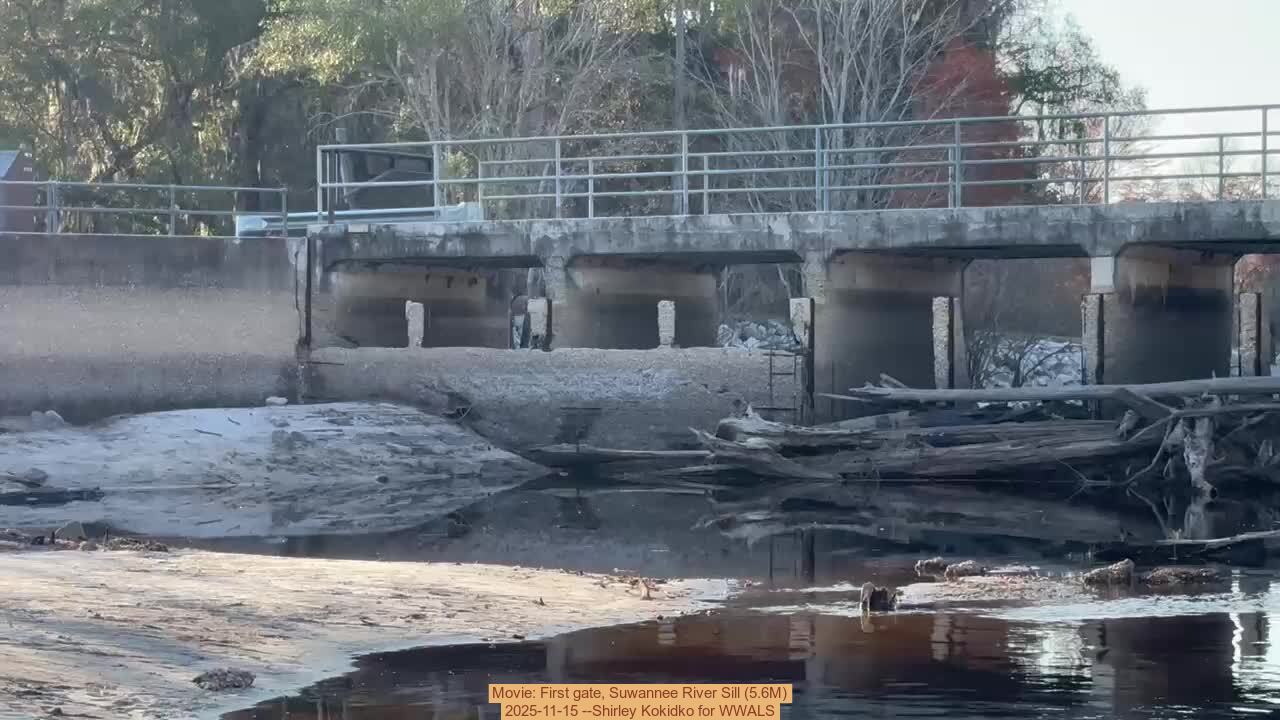 Movie: First gate, Suwannee River Sill (5.6M), 2025-11-15 --Shirley Kokidko for WWALS