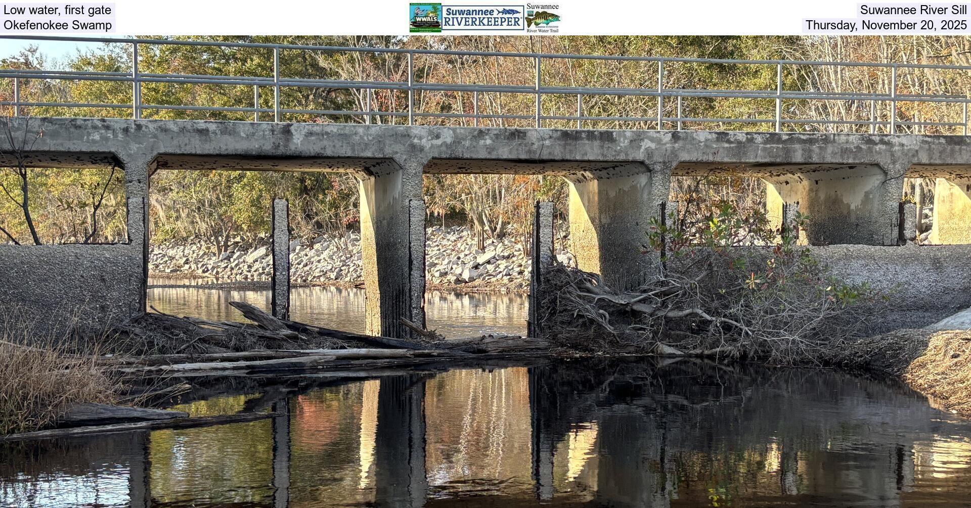 [Low water, first gate, Suwannee River Sill, Okefenokee Swamp, Thursday, November 20, 2025]