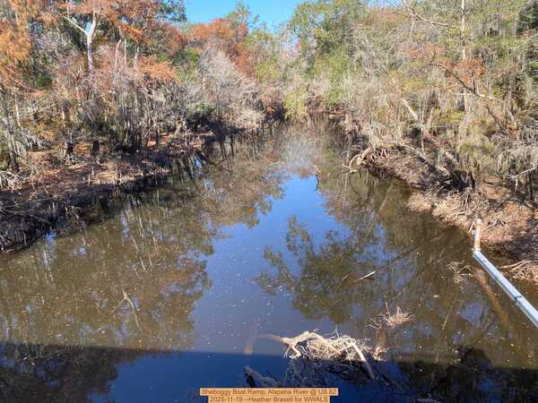 [Sheboggy Boat Ramp, Alapaha River @ US 82 2025-11-19 --Heather Brasell for WWALS]