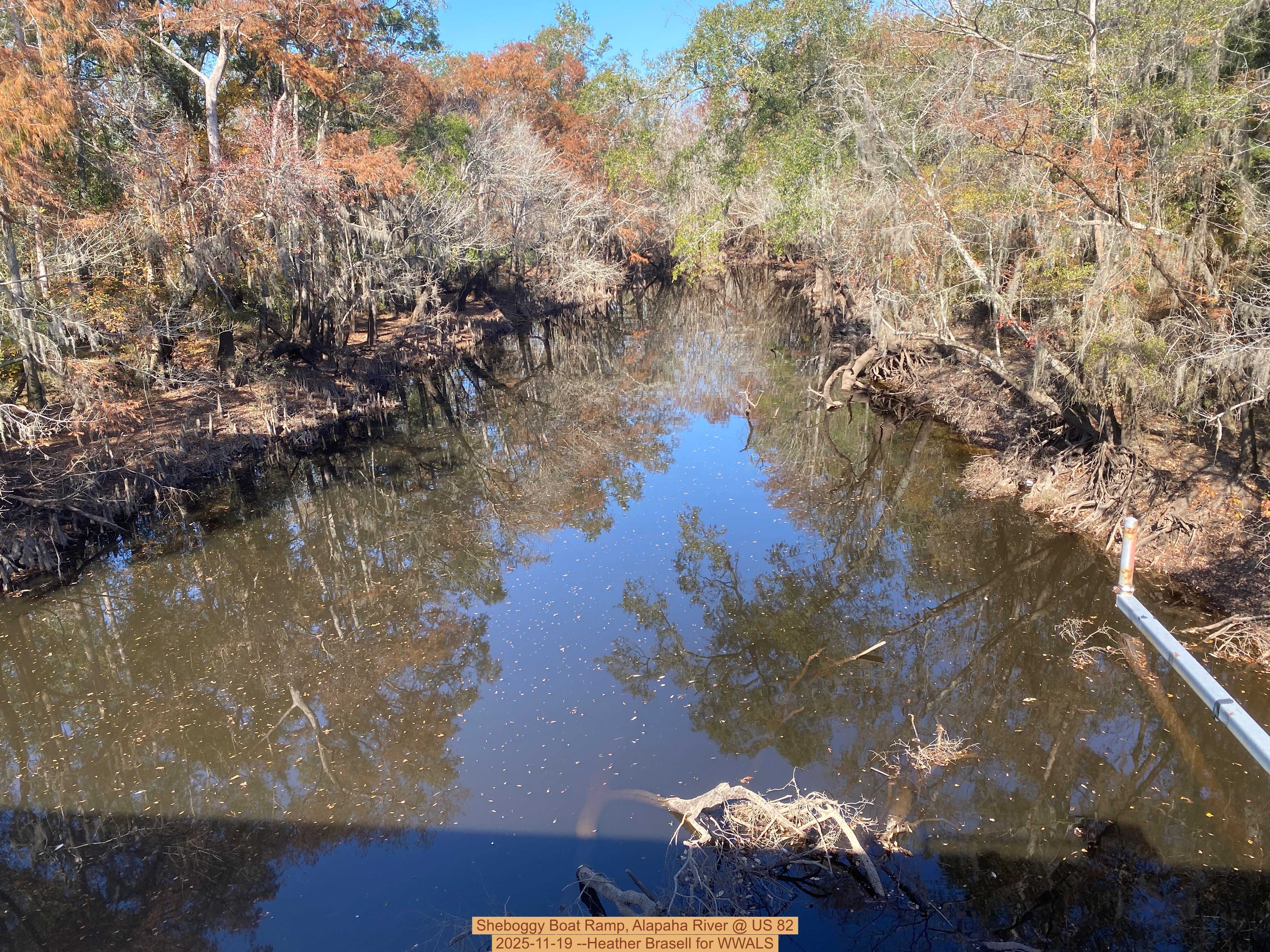 Sheboggy Boat Ramp, Alapaha River @ US 82 2025-11-19 --Heather Brasell for WWALS