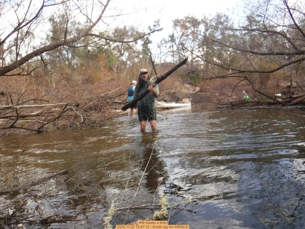 Will tosses a limb, 2025:11:22 15:47:12 --Scotti Jay for WWALS