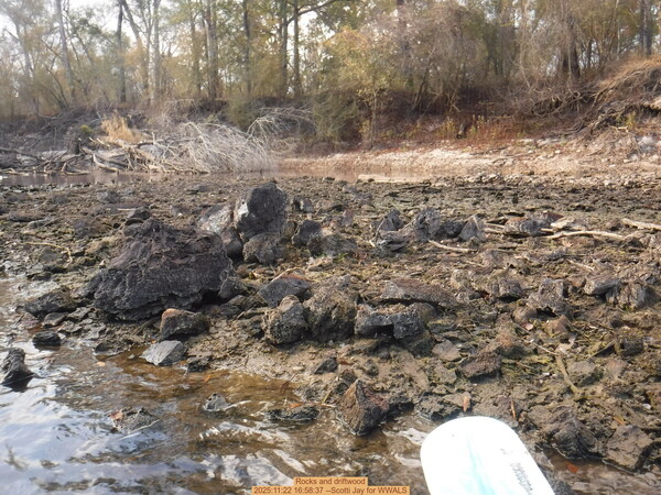 [Rocks and driftwood, 2025:11:22 16:58:37 --Scotti Jay for WWALS]