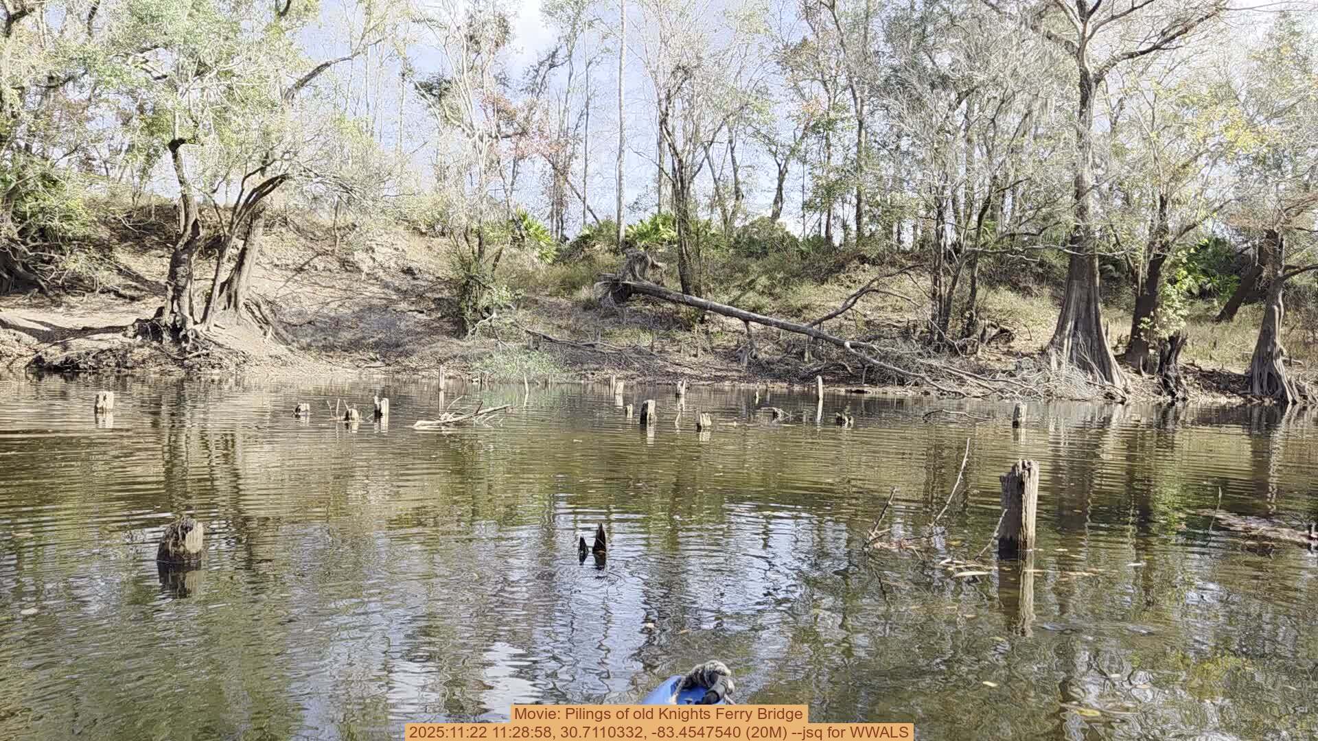 Movie: Pilings of old Knights Ferry Bridge, 2025:11:22 11:28:58, 30.7110332, -83.4547540 (20M) --jsq for WWALS