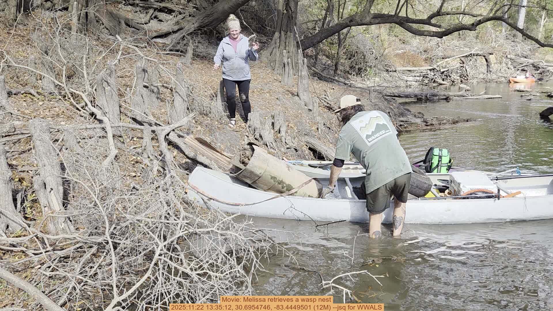 Movie: Melissa retrieves a wasp nest, 2025:11:22 13:35:12, 30.6954746, -83.4449501 (12M) --jsq for WWALS