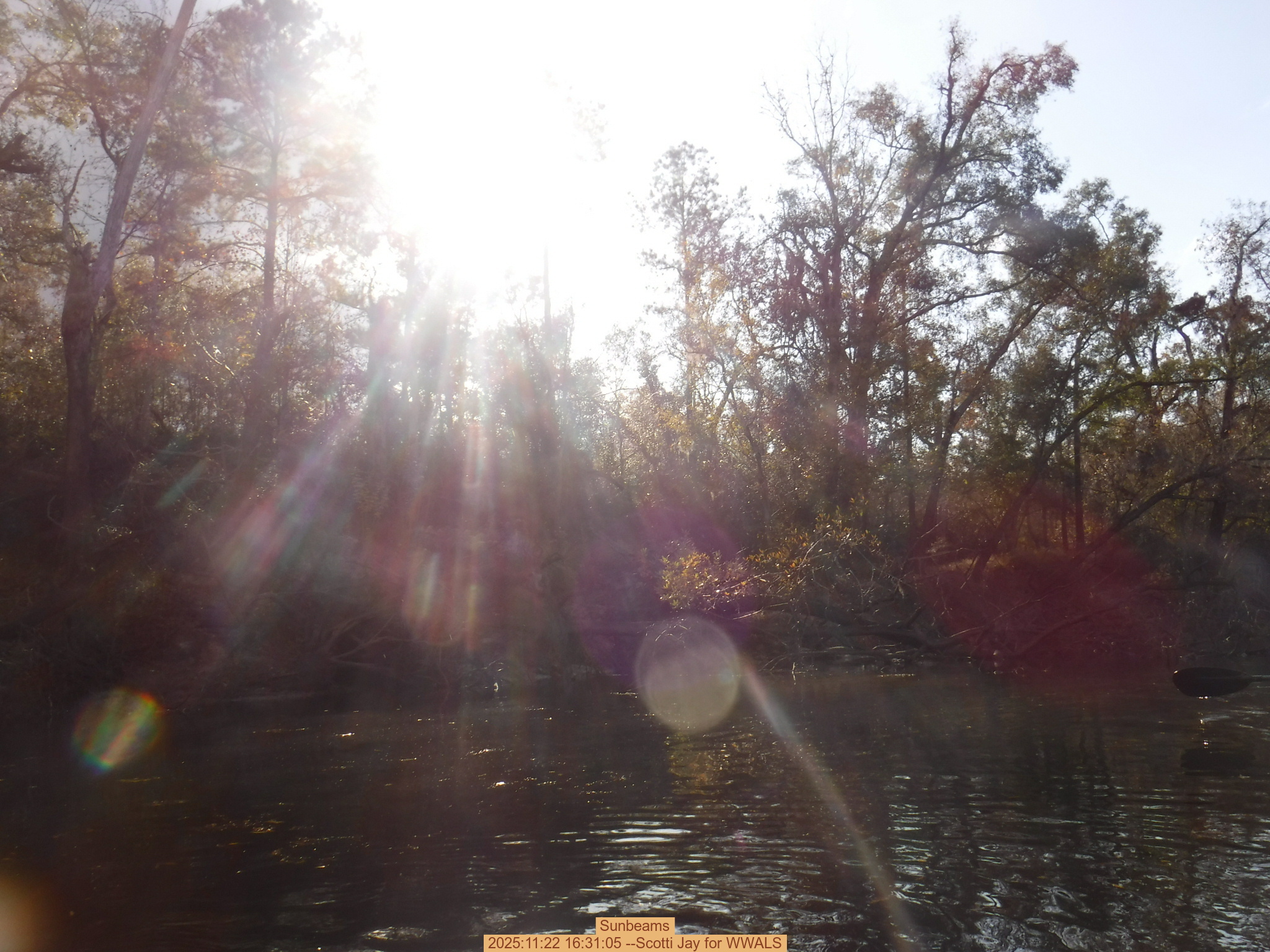 Sunbeams, 2025:11:22 16:31:05 --Scotti Jay for WWALS