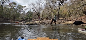 [Will carries it to the canoe, 2025:11:22 12:02:12, 30.7027146, -83.4536699 --jsq for WWALS]