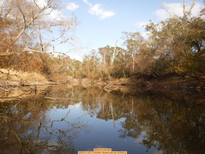 [Bend to the left, 2025:11:22 17:00:06 --Scotti Jay for WWALS]