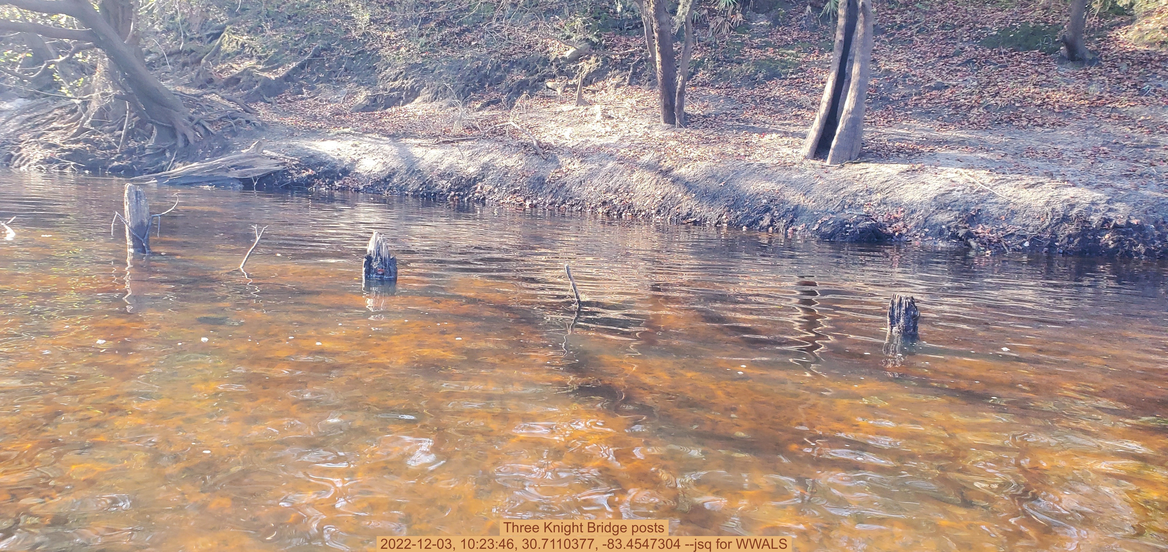 Three Knight Bridge posts, 2022-12-03, 10:23:46, 30.7110377, -83.4547304 --jsq for WWALS