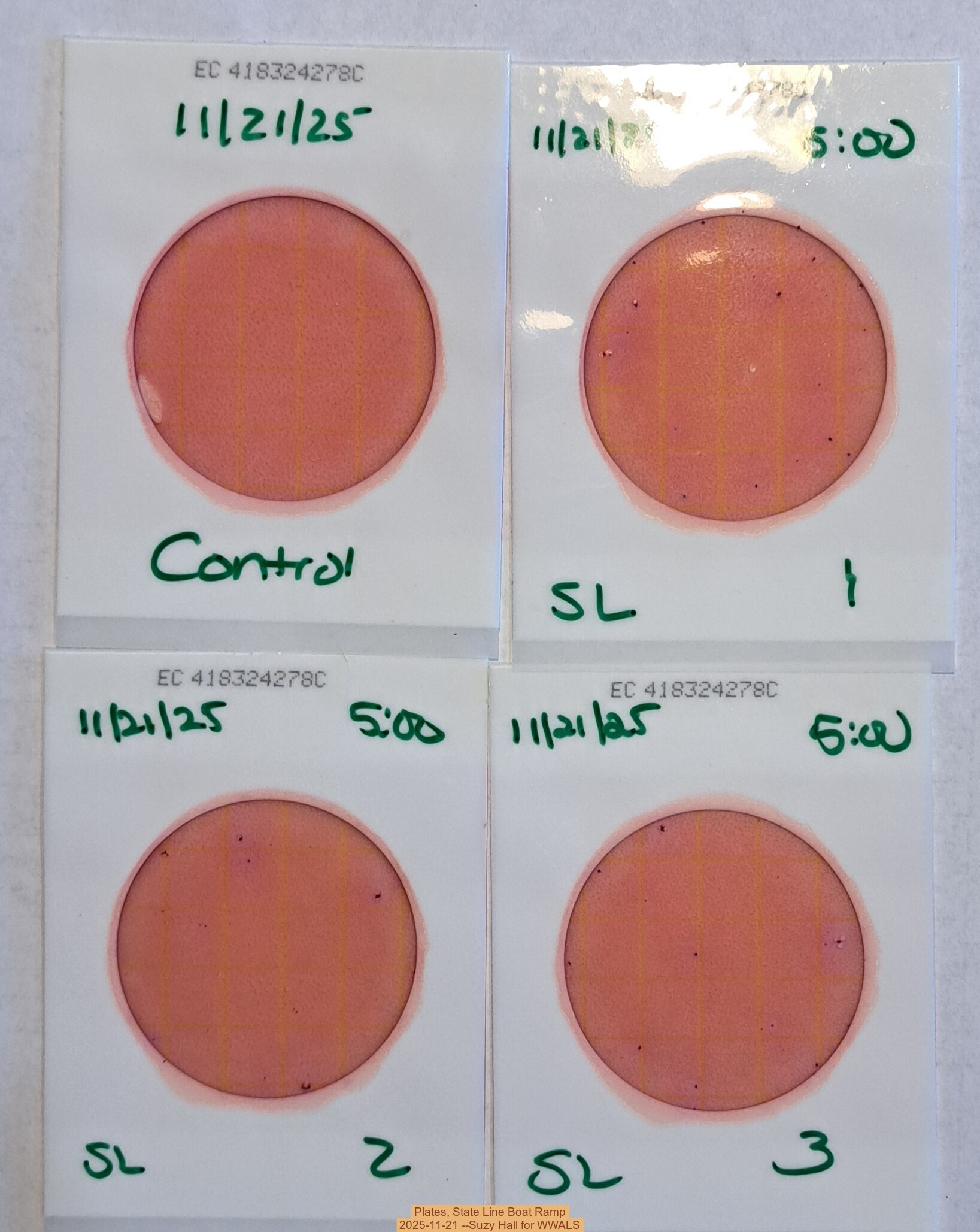 Plates, State Line Boat Ramp 2025-11-21 --Suzy Hall for WWALS