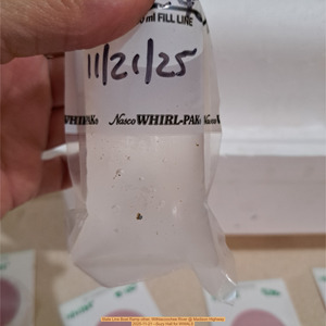 [Sample, State Line Boat Ramp, Withlacoochee River @ Madison Highway 2025-11-21 --Suzy Hall for WWALS]