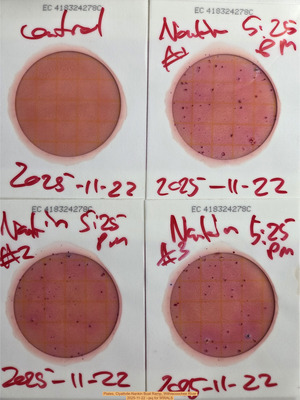 [Plates, Clyattvile-Nankin Boat Ramp, Withlacoochee River, 2025-11-22 --jsq for WWALS]