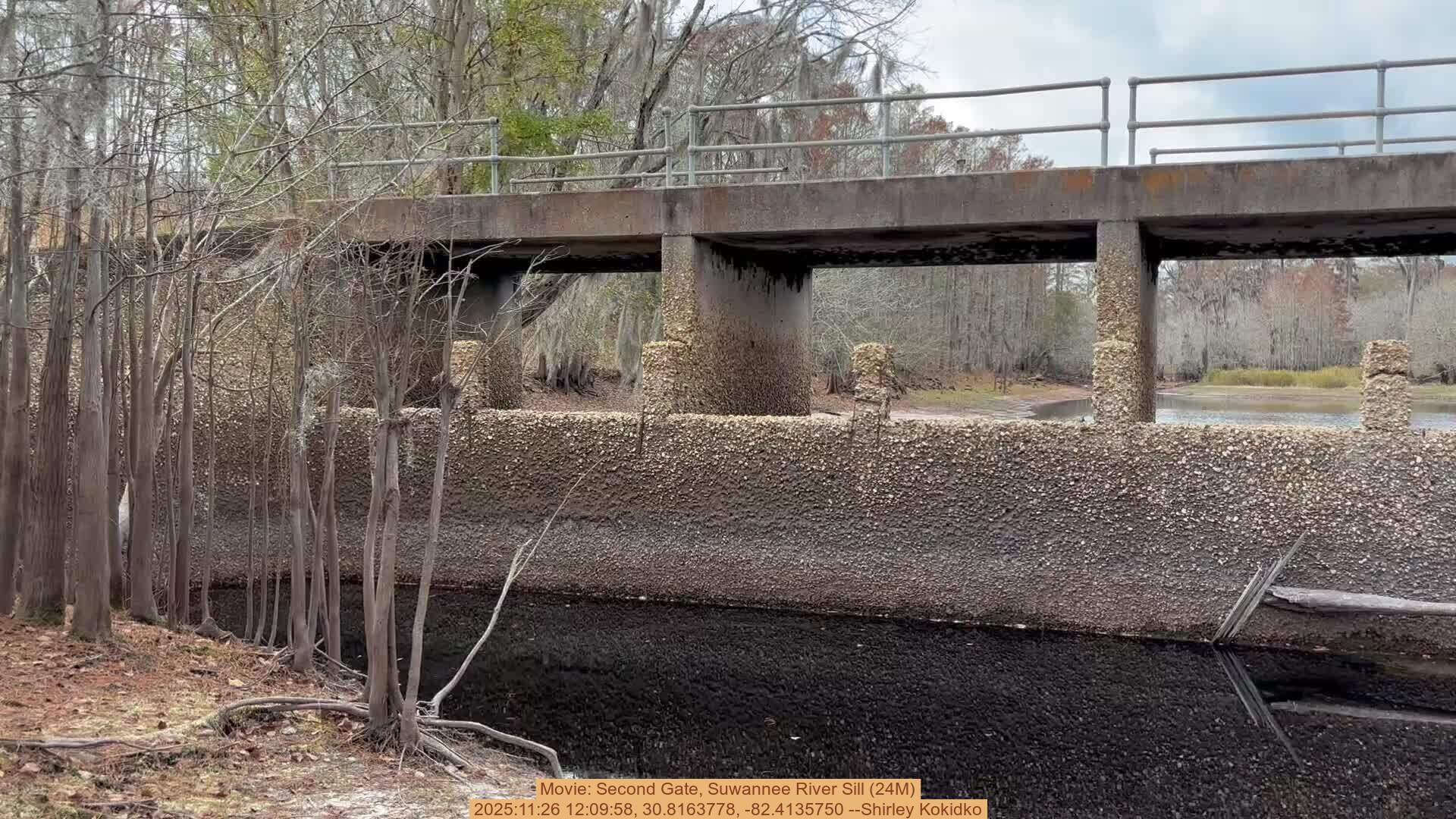 Movie: Second Gate, Suwannee River Sill (24M), 2025:11:26 12:09:58, 30.8163778, -82.4135750 --Shirley Kokidko