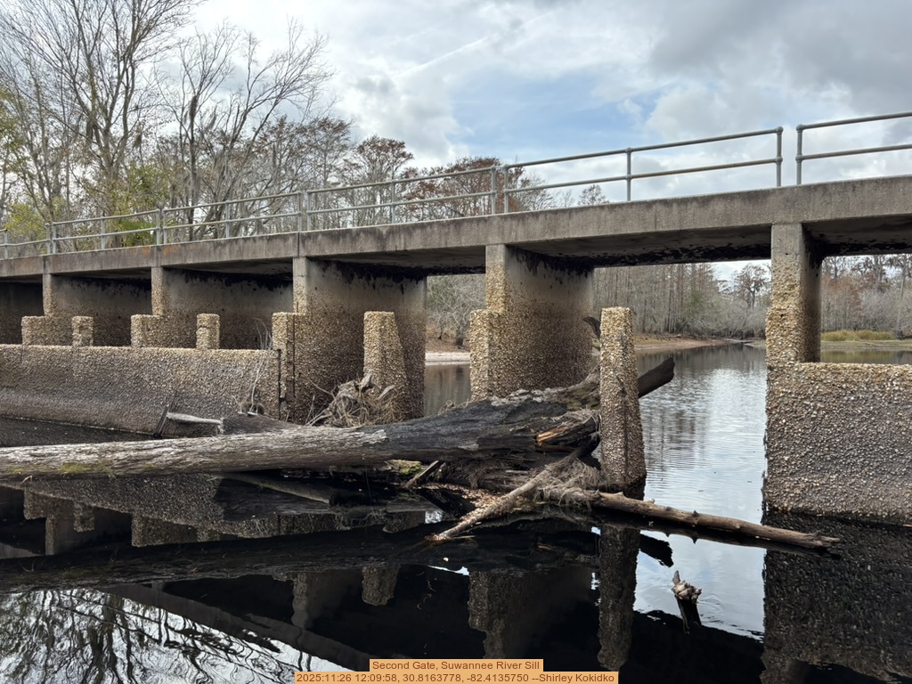 Second Gate, Suwannee River Sill, 2025:11:26 12:09:58, 30.8163778, -82.4135750 --Shirley Kokidko