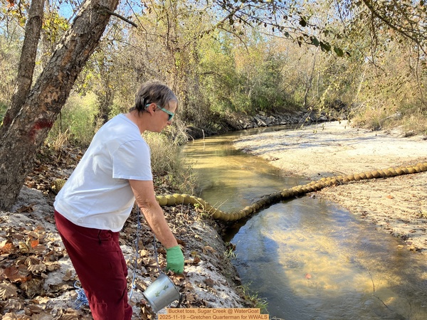 [Bucket toss, Sugar Creek @ WaterGoat, 2025-11-19 --Gretchen Quarterman for WWALS]
