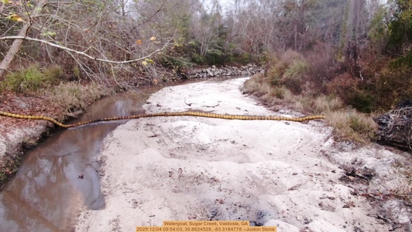 [Watergoat, Sugar Creek, Valdosta, GA, 2025:12:04 09:54:03, 30.8624528, -83.3184778 --Juston Stone]