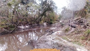 [Logs piled on bank, Sugar Creek, Valdosta, GA, 2025:12:04 09:53:53, 30.8624528, -83.3184778 --Juston Stone]